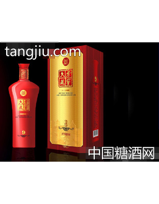 泸州老窖久藏老窖T9