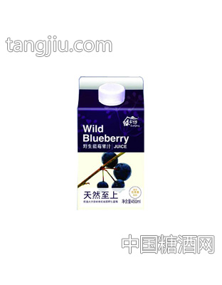 屋顶包蓝莓果汁饮料450ml