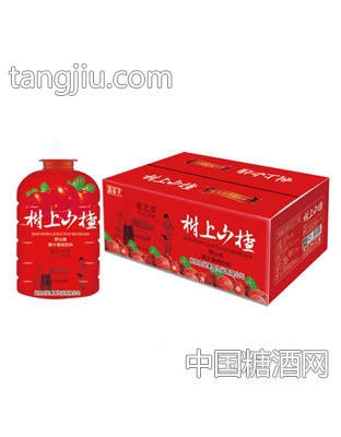 京绿园野山楂果汁果肉饮料