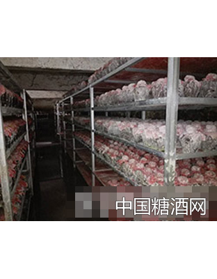 金铺子生态原浆酒（高品质健康酒）