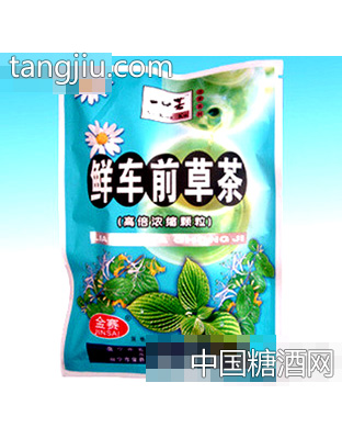 鲜车前草茶