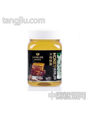 恒亮洋槐蜂蜜500g