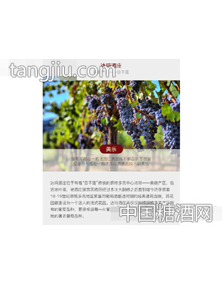 乐慕美乐干红葡萄画册·达玛酒庄