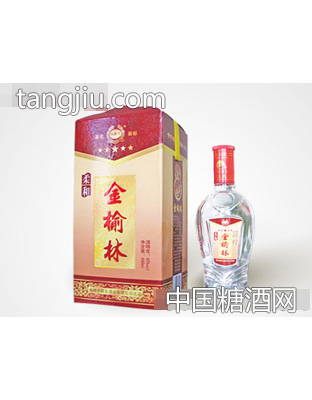 柔和五星金榆林