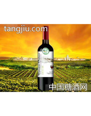 中粮名庄荟布雷萨斯古堡·传说干红葡萄酒