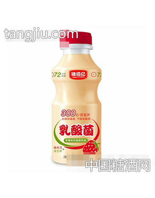 锦佰亿乳酸菌饮品草莓味338ml