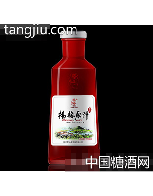 聚仙庄杨梅原汁450ml