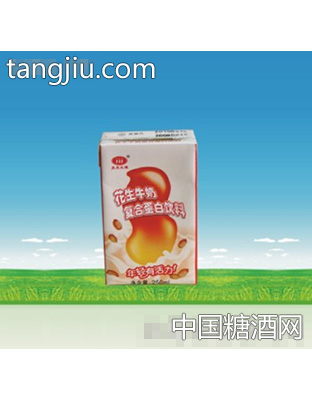 花生牛奶复合蛋白饮料250ml