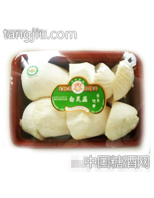 鲜白灵菇根