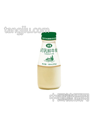 维雀初乳鲜牛奶195ml