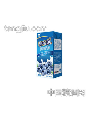 维雀蓝莓酸乐乳250ml