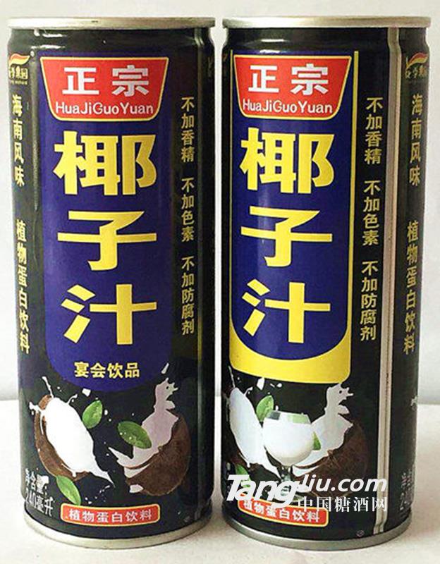 植物蛋白饮料椰子汁