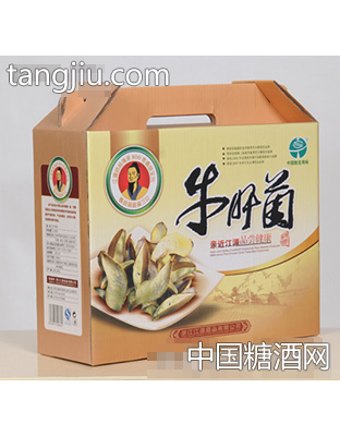 江源牛肝菌