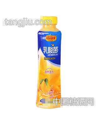 铭品缘乳酸菌500ml