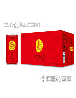 三生态枣杞核桃复合蛋白饮品