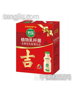 吉悠植物乳酸菌330mlx8瓶礼盒装
