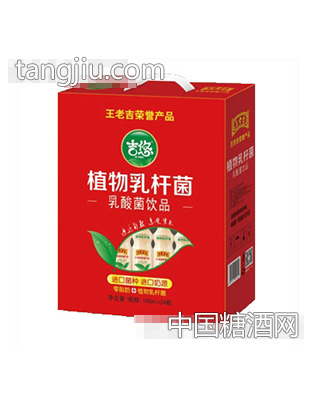 吉悠植物乳酸菌100mlx24瓶礼盒装