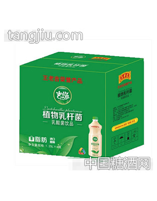 吉悠植物乳酸菌1.25Lx6瓶箱装