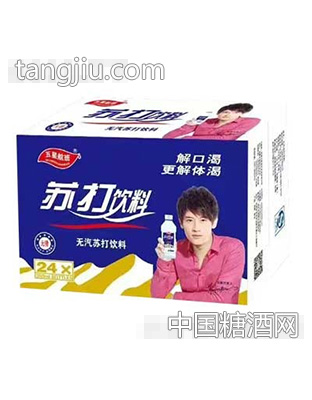 五星航班苏打水350ml×24瓶