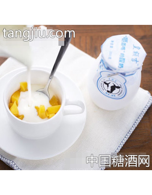 皇额吉果粒+酸奶