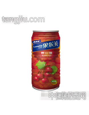 果乐美山楂汁960ml罐装