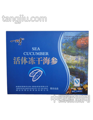 一品多活体冻干海参箱