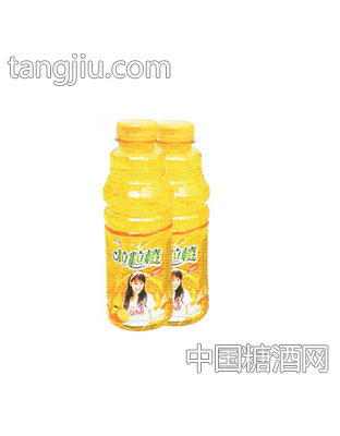 500ml粒粒橙饮料