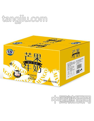 至乐宝芒果牛奶风味饮料240mlx24瓶
