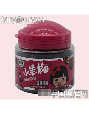 康辉小美梅生糖杨梅120g