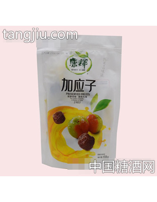 康辉加应子