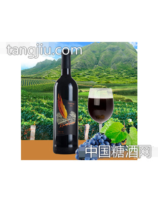 卡米萨 皮诺塔其干红葡萄酒