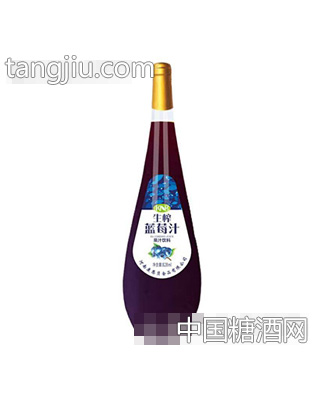 康恩贝食品生榨蓝莓汁828ml