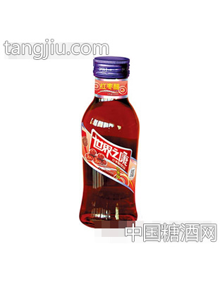 世界之康245ml红枣醋瓶装