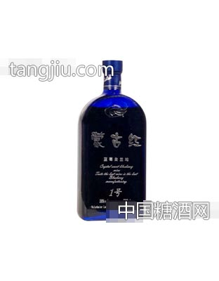 健康伴侣1号