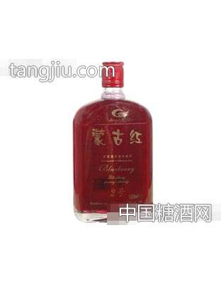 健康伴侣2号