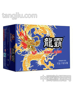 龙霸（银）果汁饮料箱装310mlx20罐