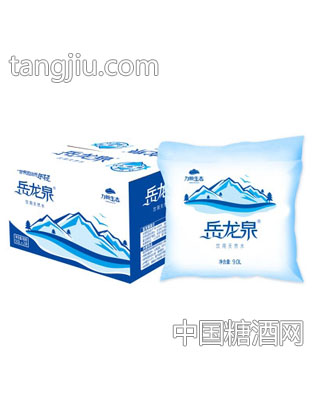岳龙泉饮用天然水9.0L