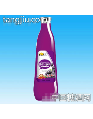 靓淼蓝莓汁饮料838ml