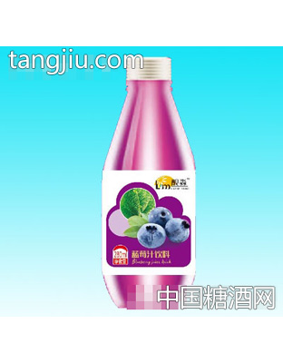 靓淼蓝莓汁280ml