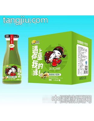 靓淼遇上你是我的缘猕猴桃汁饮料1.5Lx6瓶