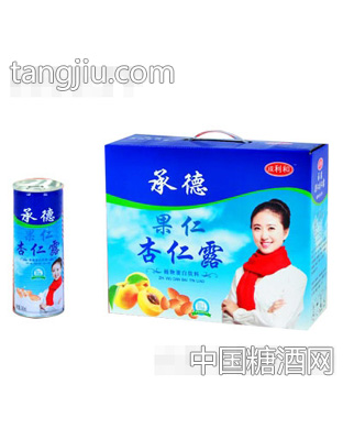 承德果仁杏仁露植物蛋白饮料310mlx16罐