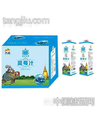 六杰泰式生榨蓝莓汁1Lx8瓶