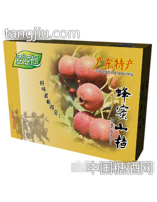 蜂蜜山楂500g包装盒背面