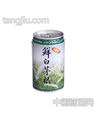 鲜白茅根