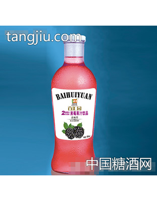 黑莓果汁饮品清爽型600ml
