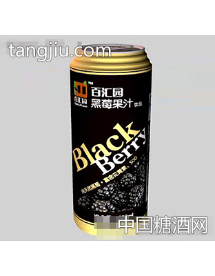 黑莓果汁饮品清爽型480ml