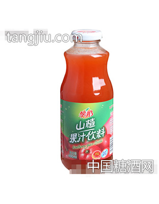 山楂汁饮料490ml