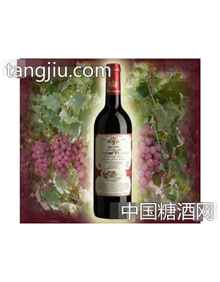 罗纳河花剑城堡