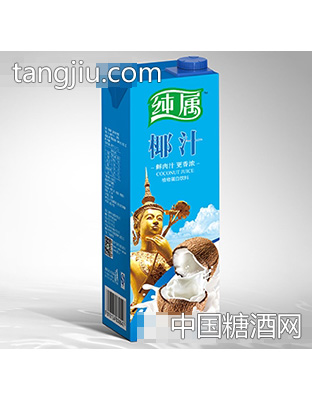 纯属椰汁1L