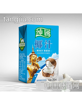 纯属椰汁250ml